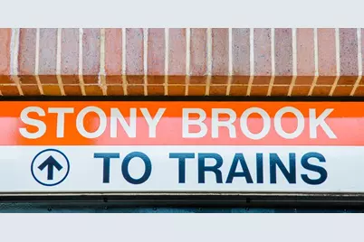 3171 Washington St #204, Boston, MA 02130 - Photo 38