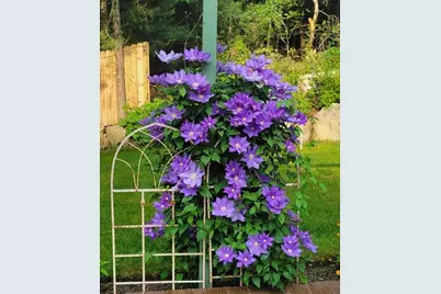 65 Black Oak Road, Barnstable, MA 02648 - Photo 40