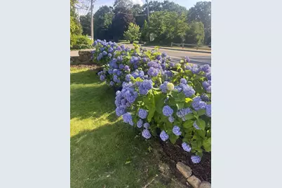 564 Middle Street, Braintree, MA 02184 - Photo 40