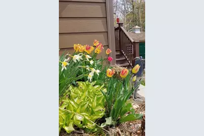 23 Moulton St., Middleborough, MA 02346 - Photo 22