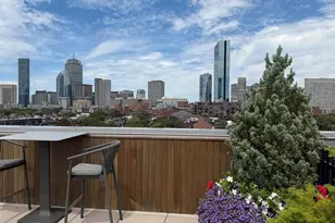 23 Bradford St, Boston, MA 02118 - Photo 36
