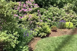 13 Shawmut Ave Ext, Wayland, MA 01778 - Photo 22