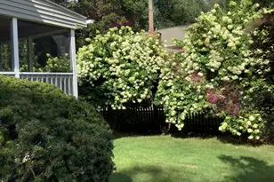 13 Shawmut Ave Ext, Wayland, MA 01778 - Photo 28