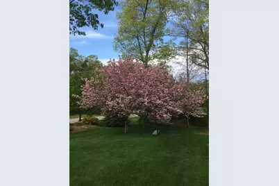 10 Anna Way, Norton, MA 02766 - Photo 38