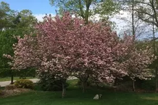 10 Anna Way, Norton, MA 02766 - Photo 38