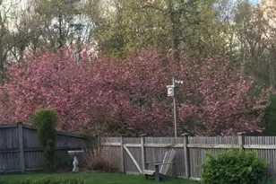 10 Anna Way, Norton, MA 02766 - Photo 36