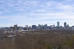 1 Nevins Hl Wy, Boston, MA 02135 - Photo 20