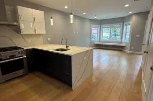 48 Robey St, Boston, MA 02119 - Photo 4