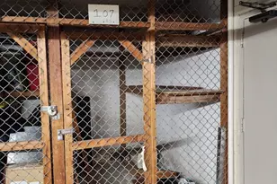 3 Longwood Dr, Andover, MA 01810 - Photo 22