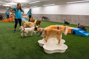 240 Devonshire St, Boston, MA 02110 - Photo 40