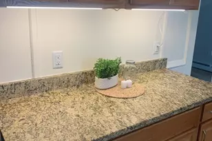 38 Elmwood, Grafton, MA 01656 - Photo 6