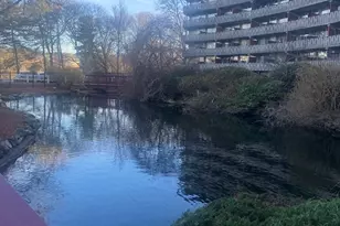 200 Swanton St, Winchester, MA 01890 - Photo 14