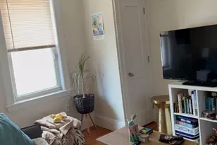 12 Logan St, Boston, MA 02119 - Photo 2