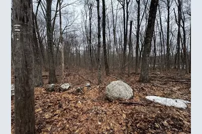 Lot 5 Gould Road, Charlton, MA 01507 - Photo 4