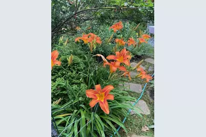 26 Nickerson Road, Bedford, MA 01730 - Photo 8