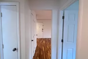 50 Seymour St, Boston, MA 02131 - Photo 14