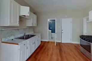 121 George St, Boston, MA 02119 - Photo 2