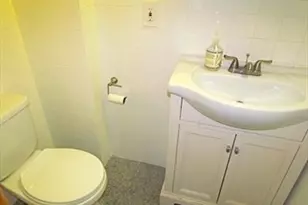 10 Moreland St, Boston, MA 02119 - Photo 12