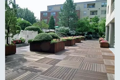 20 Webster Street #405, Brookline, MA 02446 - Photo 14