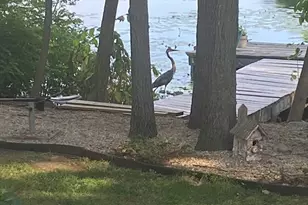 9 Oliver Rd, Weymouth, MA 02189 - Photo 38