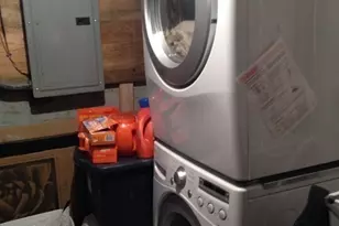 51 Greenwich St, Boston, MA 02120 - Photo 16