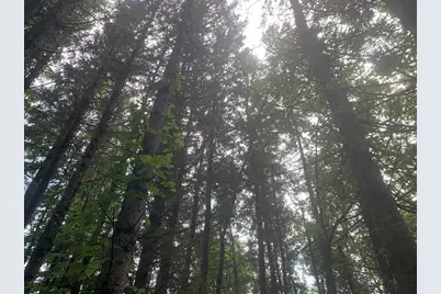 3 Howarth Rd, Oxford, MA 01540 - Photo 6