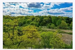 66 St Rose St, Boston, MA 02130 - Photo 30