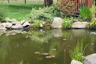 15 Ralsie Rd, Rehoboth, MA 02769 - Photo 30