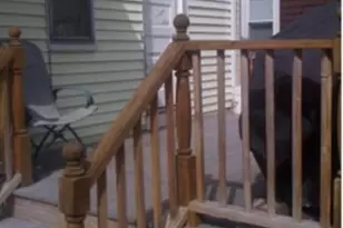 121 Main St, Malden, MA 02148 - Photo 4