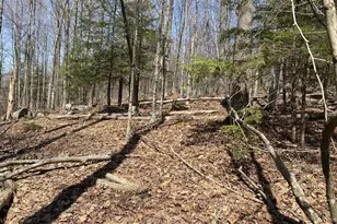 Lot 15 Colebrook River Rd, Tolland, MA 01034 - Photo 1