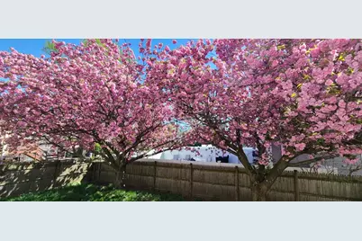 44 Mill St, Revere, MA 02151 - Photo 34