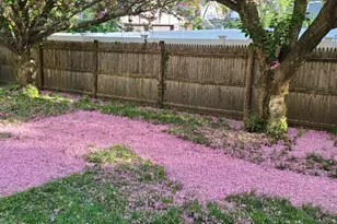 44 Mill St, Revere, MA 02151 - Photo 36