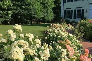 23 Parkwood Dr, Milton, MA 02186 - Photo 38