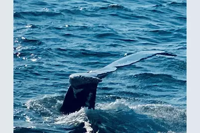 80 Bay Shore Dr, Plymouth, MA 02360 - Photo 22