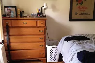 3 Paige Ave, Boston, MA 02127 - Photo 4