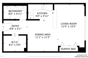 22 Chestnut Pl, Brookline, MA 02445 - Photo 20