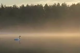 8 Winterberry Ln, Wareham, MA 02571 - Photo 28