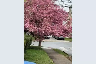 72 Fairview Ave #72, Belmont, MA 02478 - Photo 26