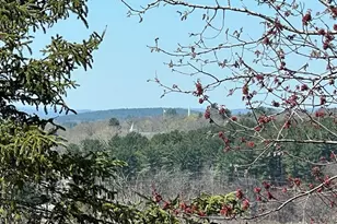 21 Carriage Hill Cir, Southborough, MA 01772 - Photo 32