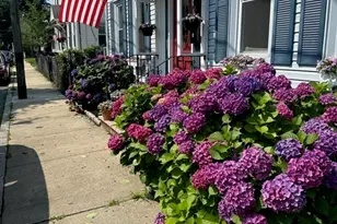 16 Port Norfolk, Boston, MA 02122 - Photo 18