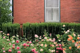 43 Waverly St, Brookline, MA 02445 - Photo 2