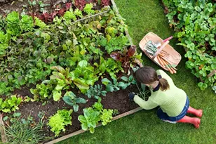 0 Oxbow Rd, Raynham, MA 02767 - Photo 12