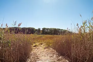 7 Border St, Scituate, MA 02066 - Photo 24