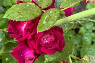 46 Snead Dr, Mashpee, MA 02649 - Photo 40