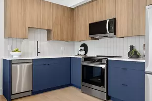 27 Dixwell St, Boston, MA 02119 - Photo 4