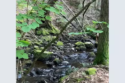 270 Wendell Depot Rd, Wendell, MA 01379 - Photo 40