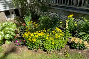 29 Shawmut Terrace, Framingham, MA 01702 - Photo 42