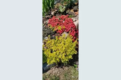 26 Carlson Ln, Barnstable, MA 02668 - Photo 26