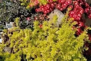 26 Carlson Ln, Barnstable, MA 02668 - Photo 26