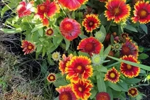 26 Carlson Ln, Barnstable, MA 02668 - Photo 28